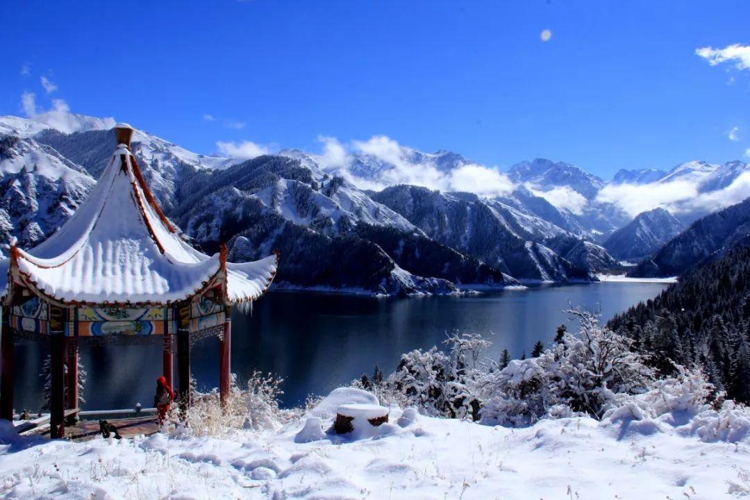 装甲坦克大战无敌版